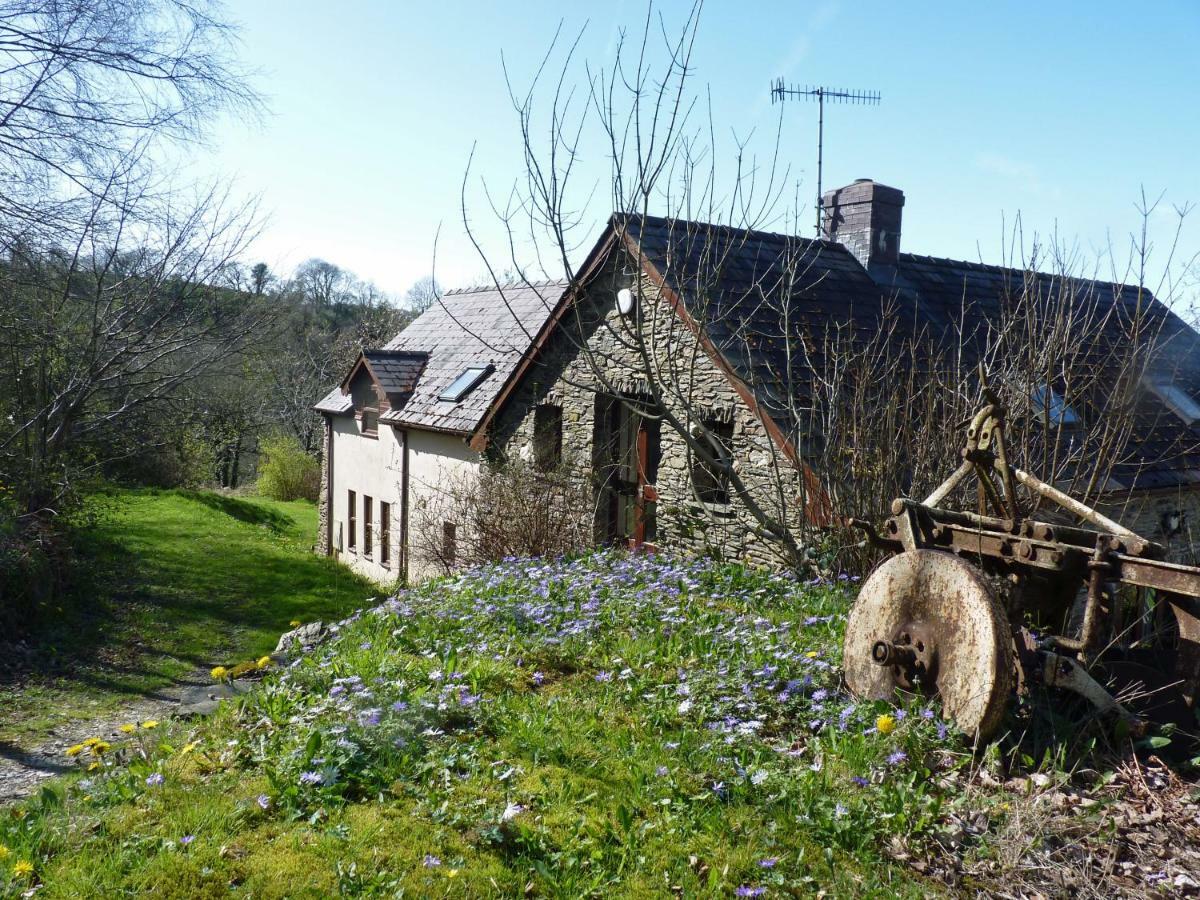 Ceridwen Holiday Homes Llandysul エクステリア 写真